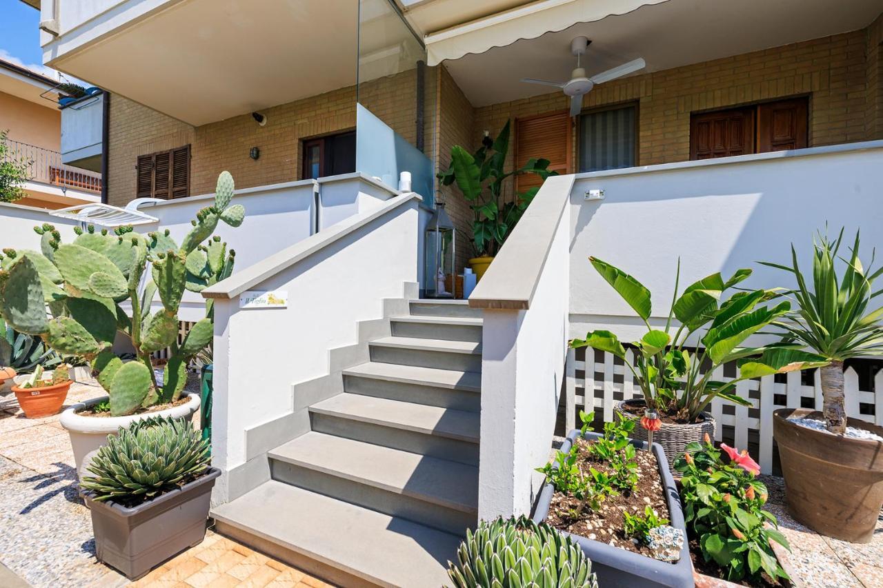 B&B Il Tiglio Porto SantʼElpidio 外观 照片