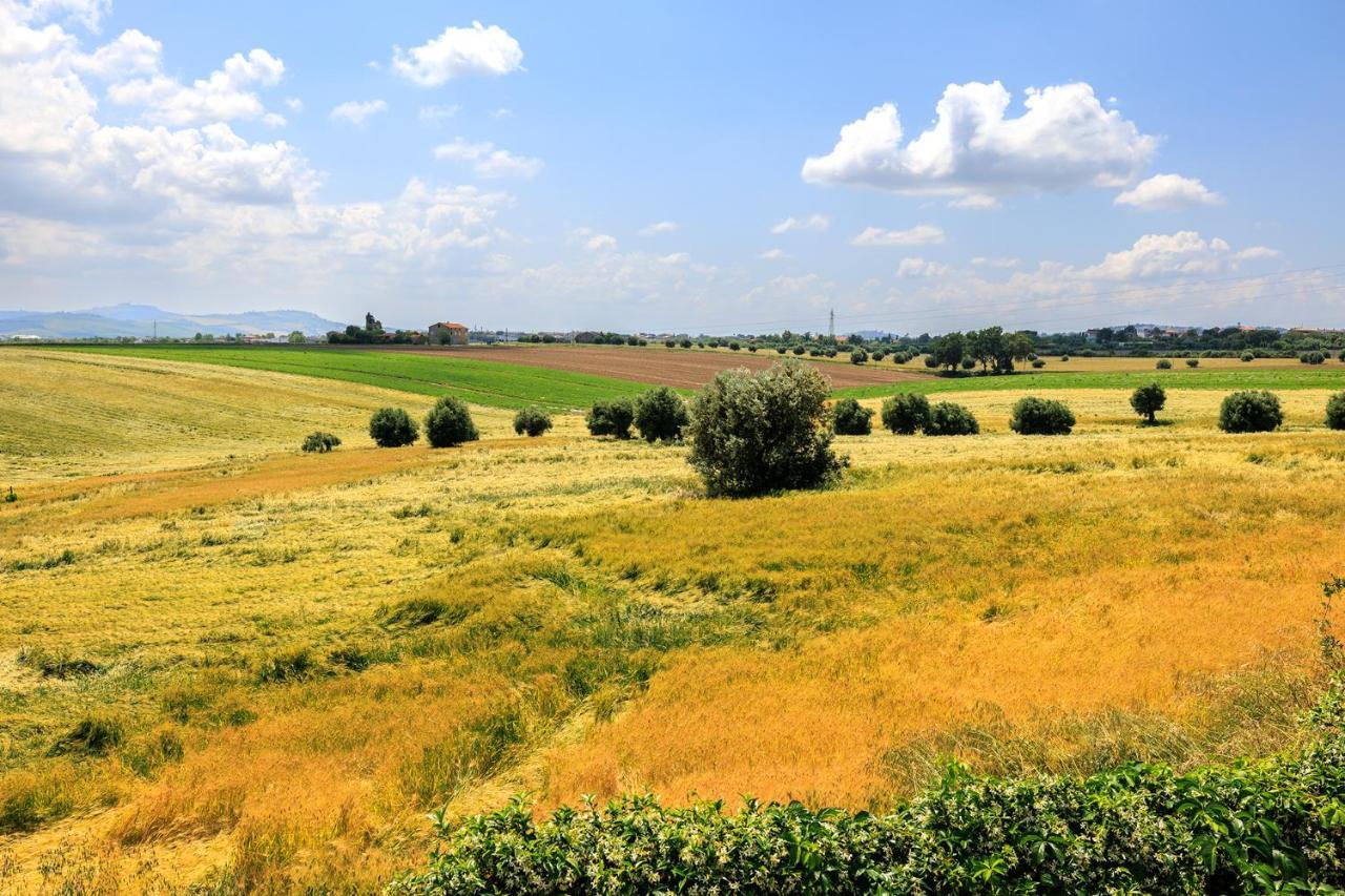 B&B Il Tiglio Porto SantʼElpidio 外观 照片