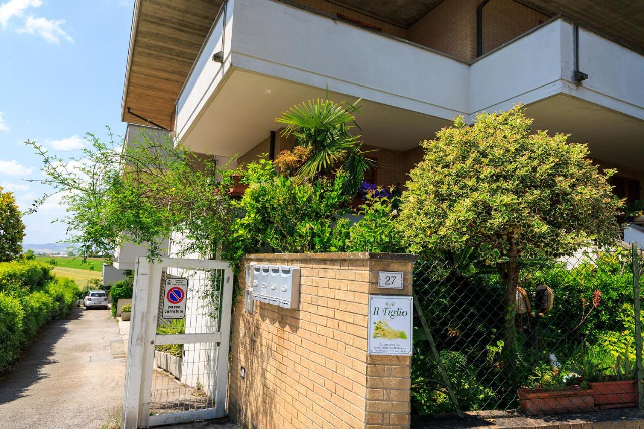B&B Il Tiglio Porto SantʼElpidio 外观 照片